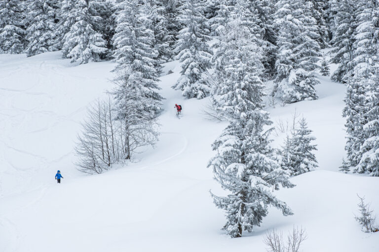 Cat Ski Goderdzi