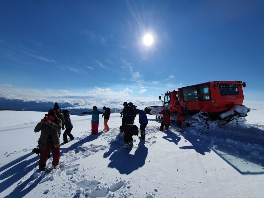 Cat Ski Georgia