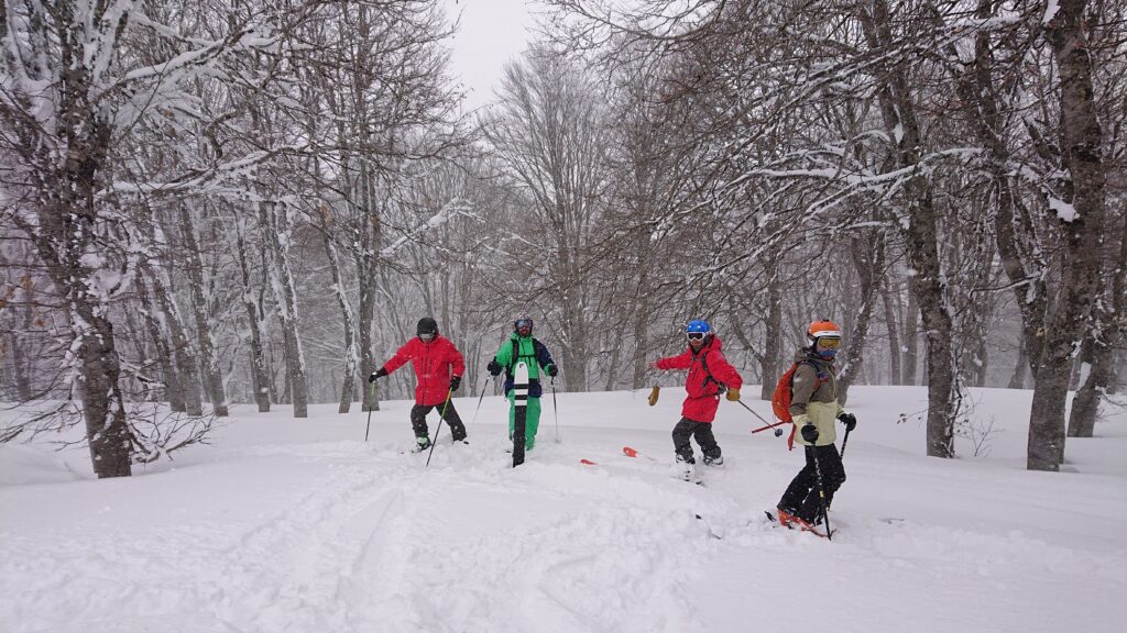 Cat Ski guides