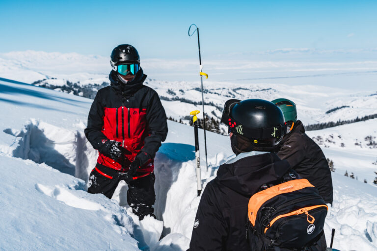 20260301-d6-karakara-cat-ski-156