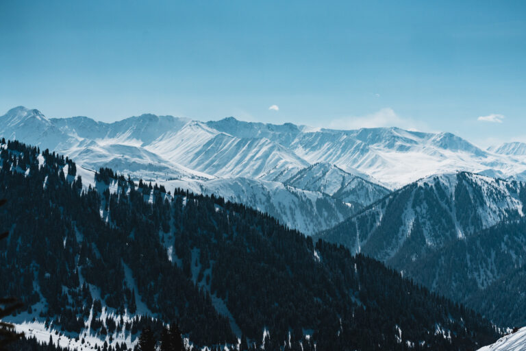 20260301-d6-karakara-cat-ski-208
